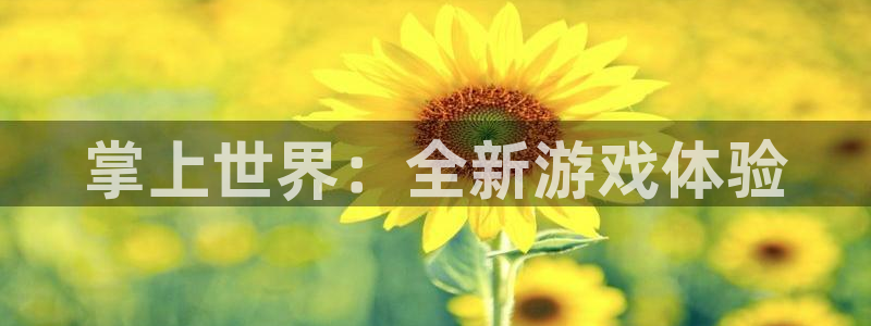 杏鑫平台怎么样知乎