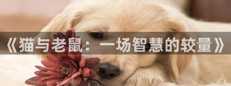 杏鑫注册平台怎么样可靠吗