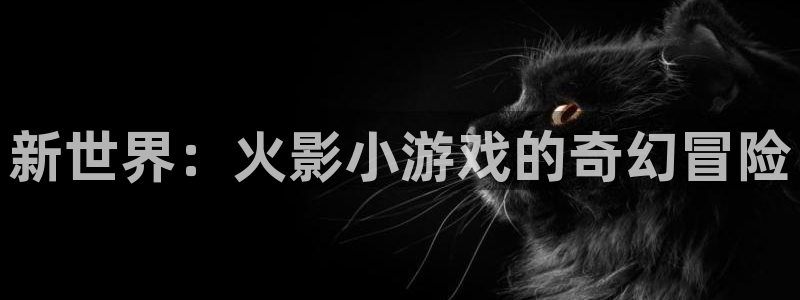 杏鑫平台总代理