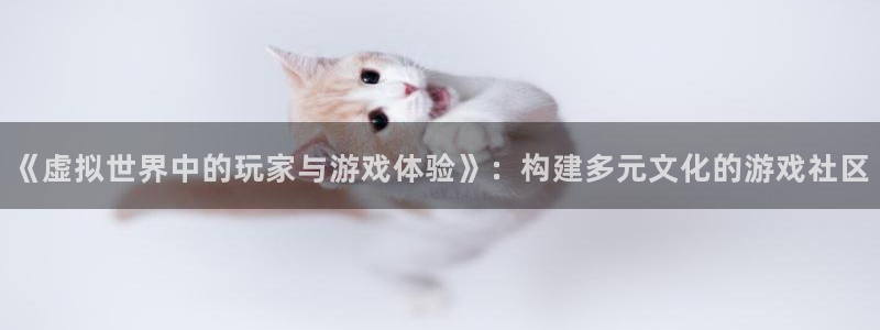 杏鑫平台官网：《虚拟世界中的玩家与游戏体验》：构建多元文化的