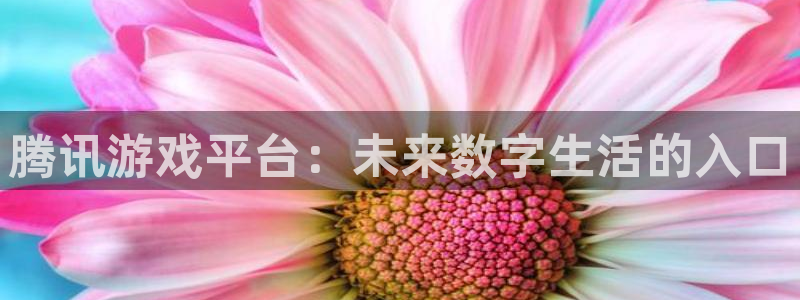 杏鑫平台注册登录入口官网：腾讯游戏平台：未来数字生活的入口