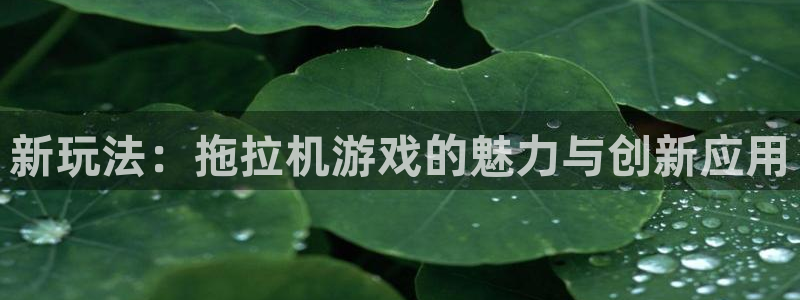 杏鑫平台总代理电话