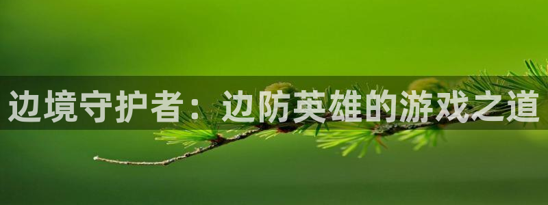 杏鑫平台官方网站地址：边境守护者：边防英雄的游戏之道