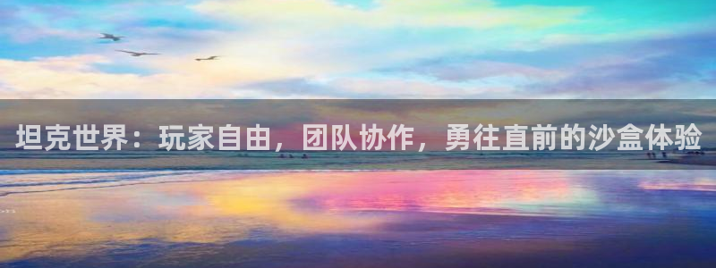 杏鑫平台官方网站入口：坦克世界：玩家自由，团队协作，勇往直前