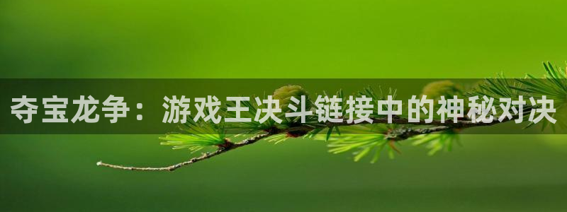 杏鑫平台官方网站入口：夺宝龙争：游戏王决斗链接中的神秘对决