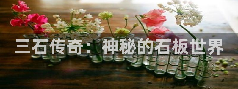 杏鑫平台开户怎么开：三石传奇：神秘的石板世界