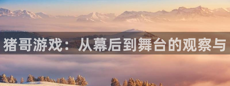 杏鑫注册平台官方网站下载