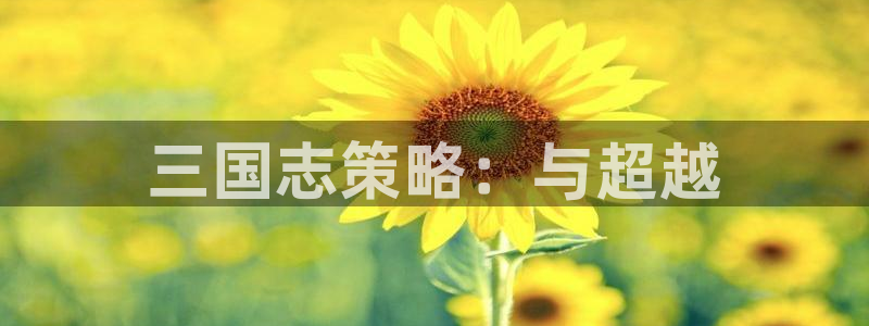 杏鑫官方app代理