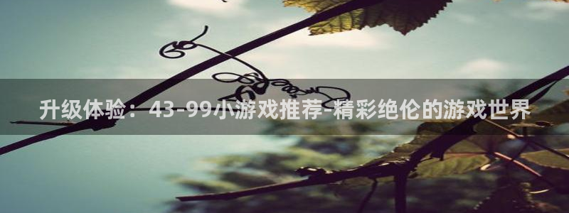 杏鑫手机客户端下载